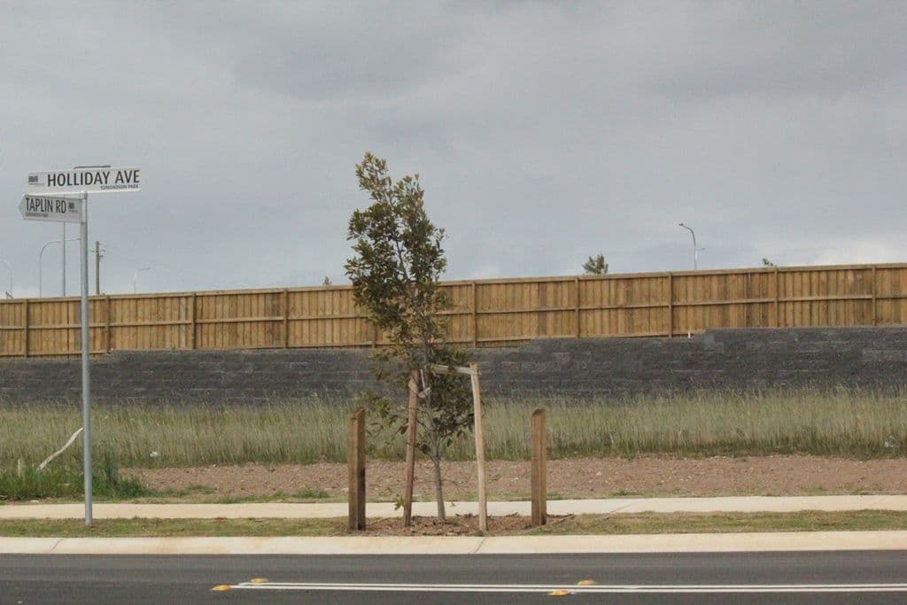 Lot 251 Holiday Avenue, Edmondson Park NSW 2174, Edmondson Park - Thumbnail 7