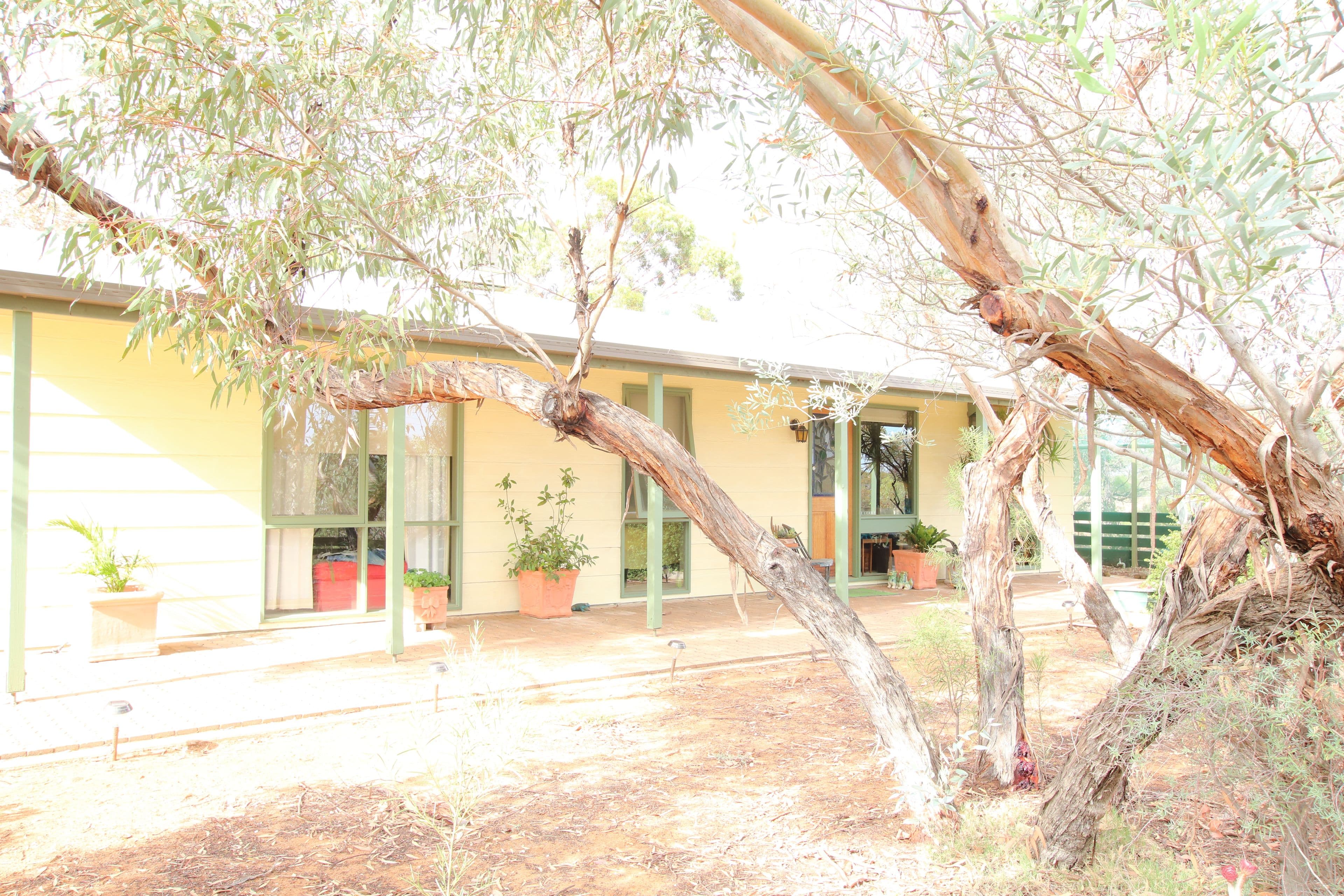 18722 Sturt Highway, Monash SA 5342, Monash - Thumbnail 2