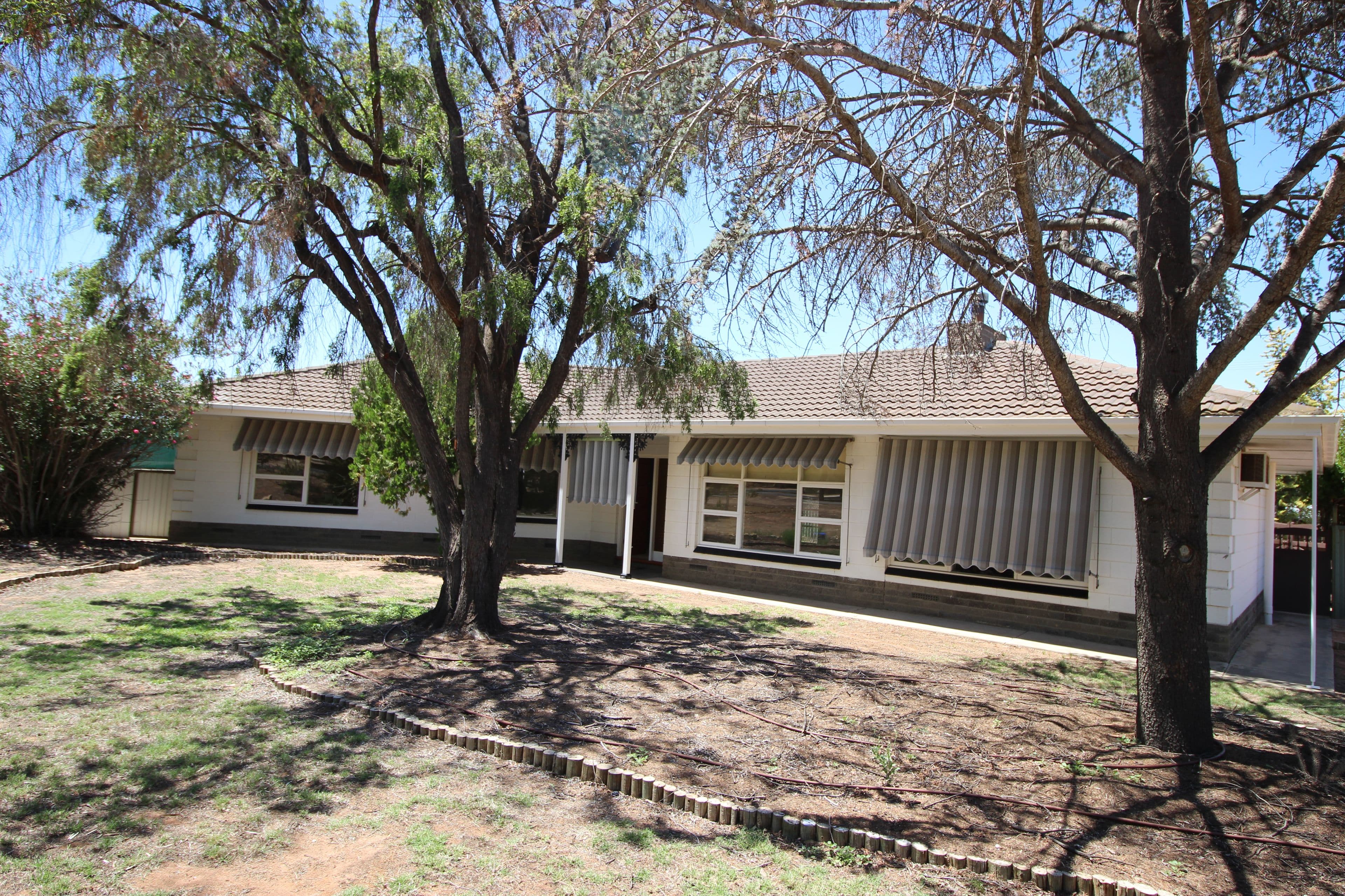 1 Jacobs Street, Waikerie SA 5330, Waikerie - Image 1