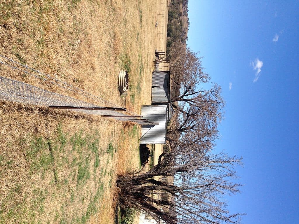 97 Starr Lane, Barraba NSW 2347, Barraba - Thumbnail 2