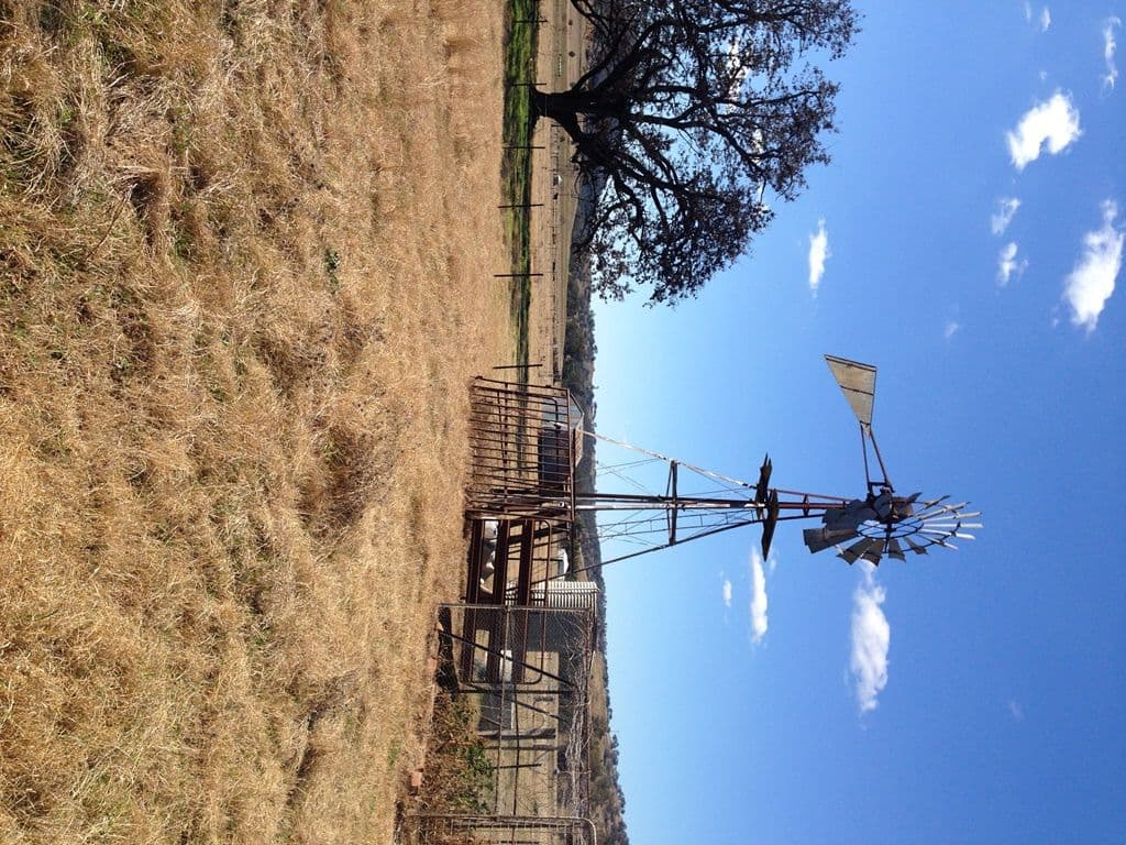 97 Starr Lane, Barraba NSW 2347, Barraba - Thumbnail 4
