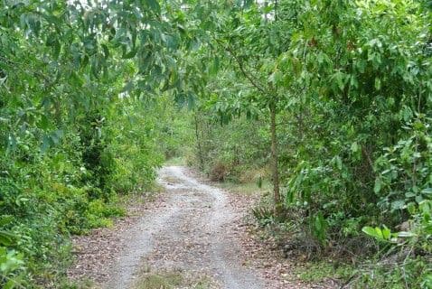 Lot 3 Wheatley Road, Wongaling Beach QLD 4852, Wongaling Beach - Thumbnail 3