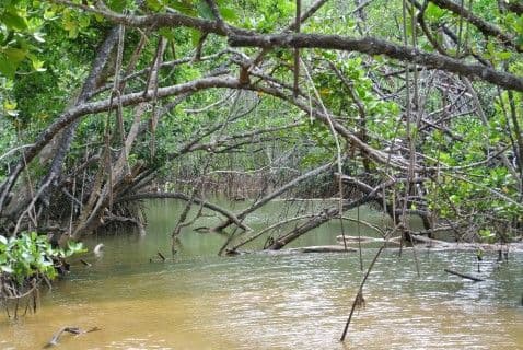Lot 3 Wheatley Road, Wongaling Beach QLD 4852, Wongaling Beach - Thumbnail 8