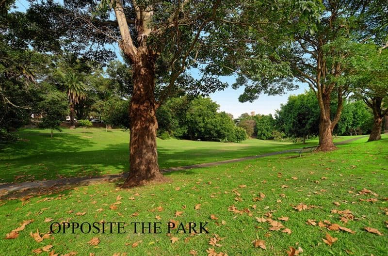 8  Hazelbank Road, WOLLSTONECRAFT NSW 2065, Wollstonecraft - Thumbnail 6