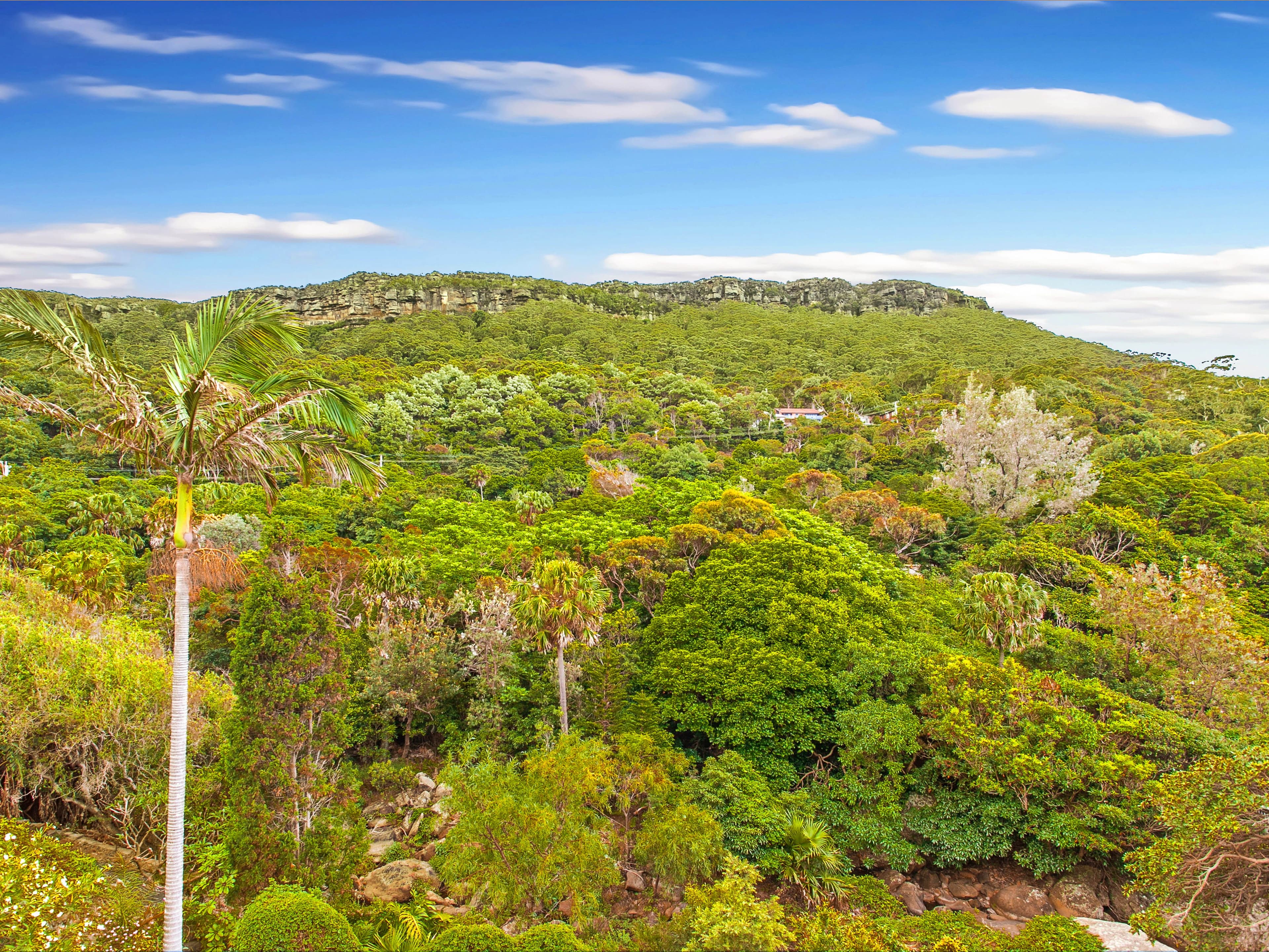 44 Paterson Road, Coalcliff - Thumbnail 5