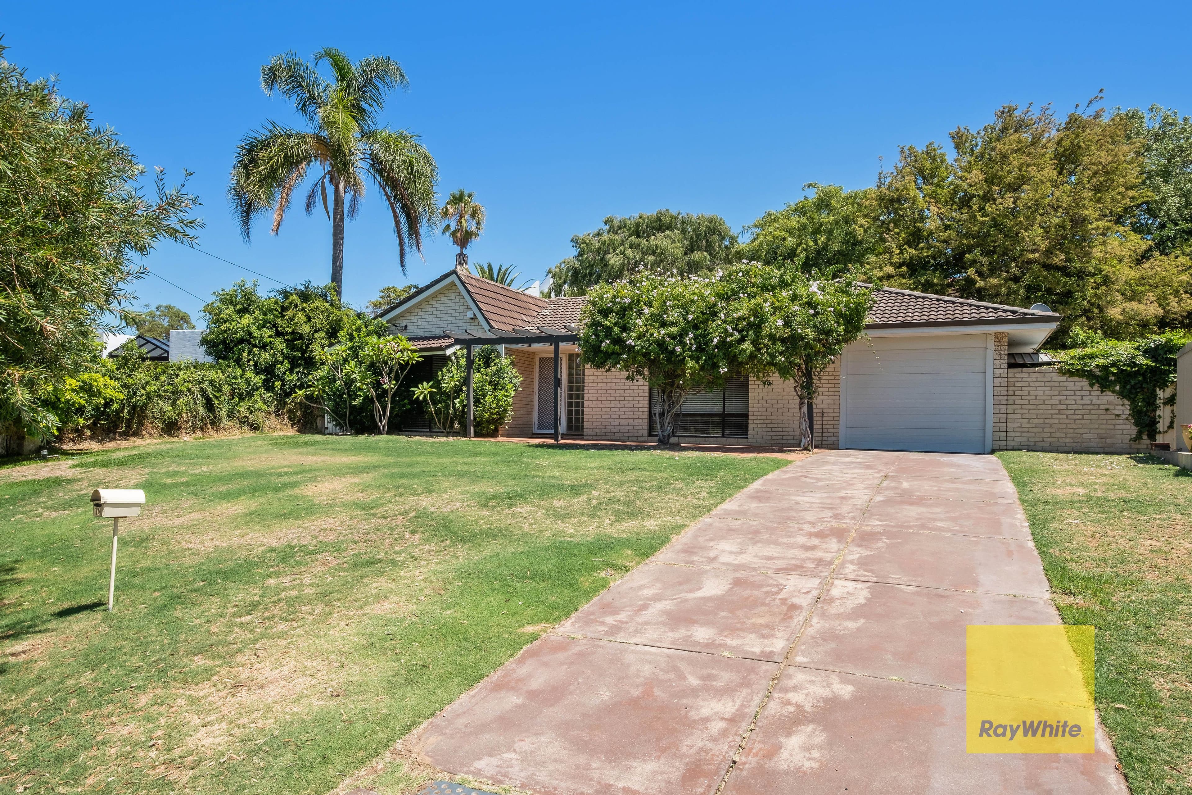 10 Hayes Terrace, Mosman Park WA 6012, Mosman Park - Thumbnail 5