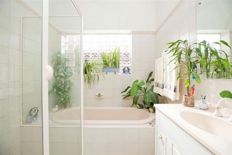 55 Glyde Street, ALBERT PARK SA 5014, Albert Park - Thumbnail 4