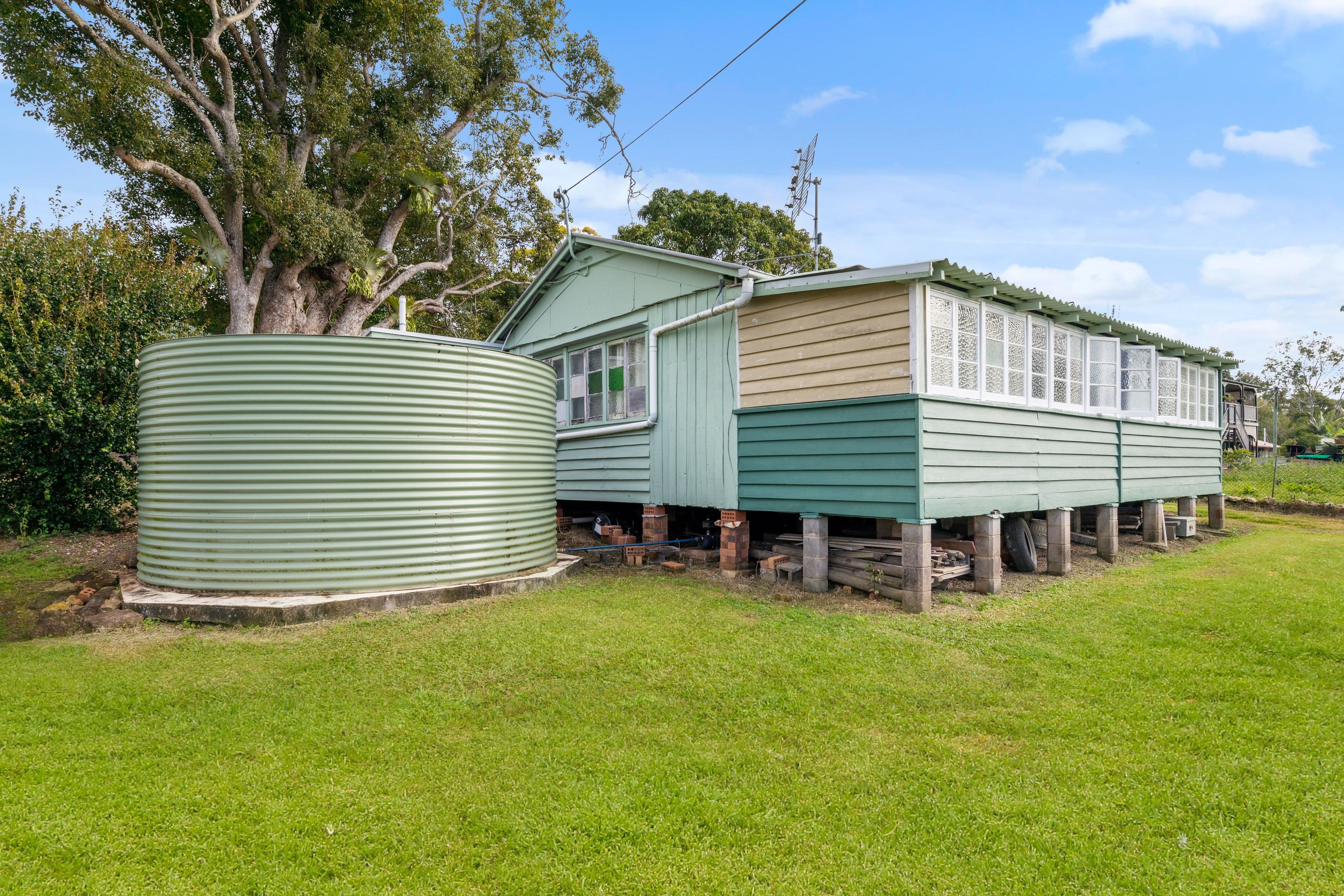 17 Buckle Street, Yandina QLD 4561, Yandina - Thumbnail 3