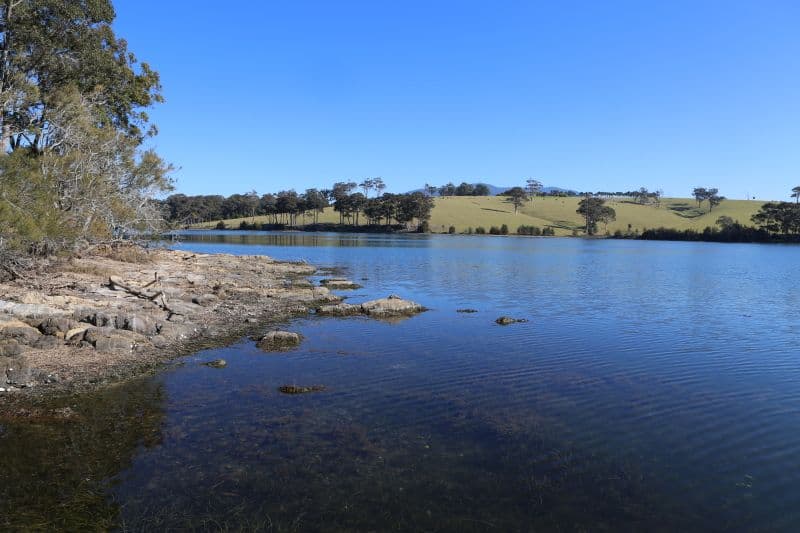 7724 Princes Highway, NAROOMA NSW 2546, Narooma - Thumbnail 6