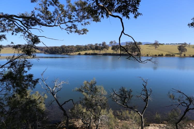 7724 Princes Highway, NAROOMA NSW 2546, Narooma - Thumbnail 8