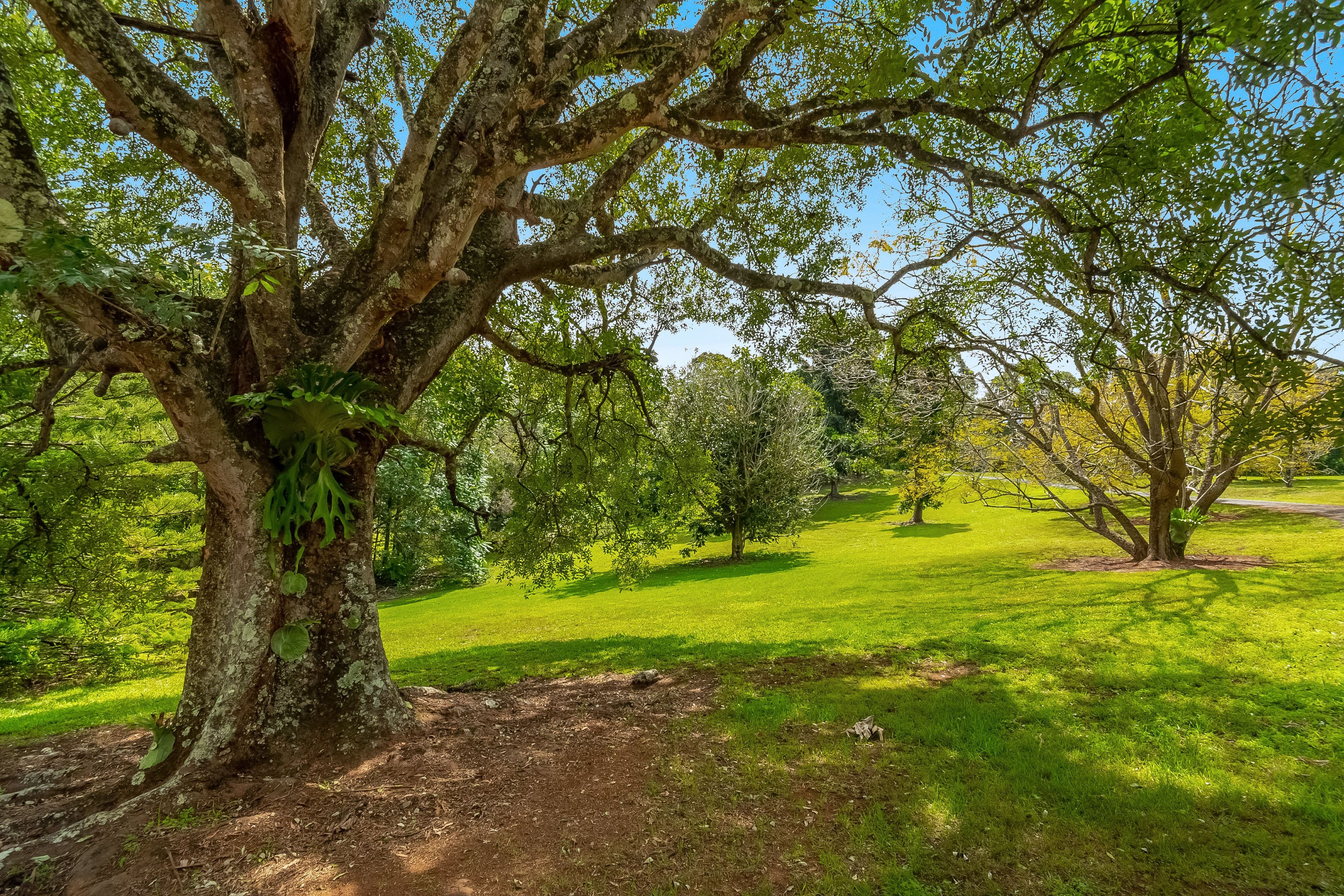 31 Bilin Road, Myocum NSW 2481, Myocum - Thumbnail 3