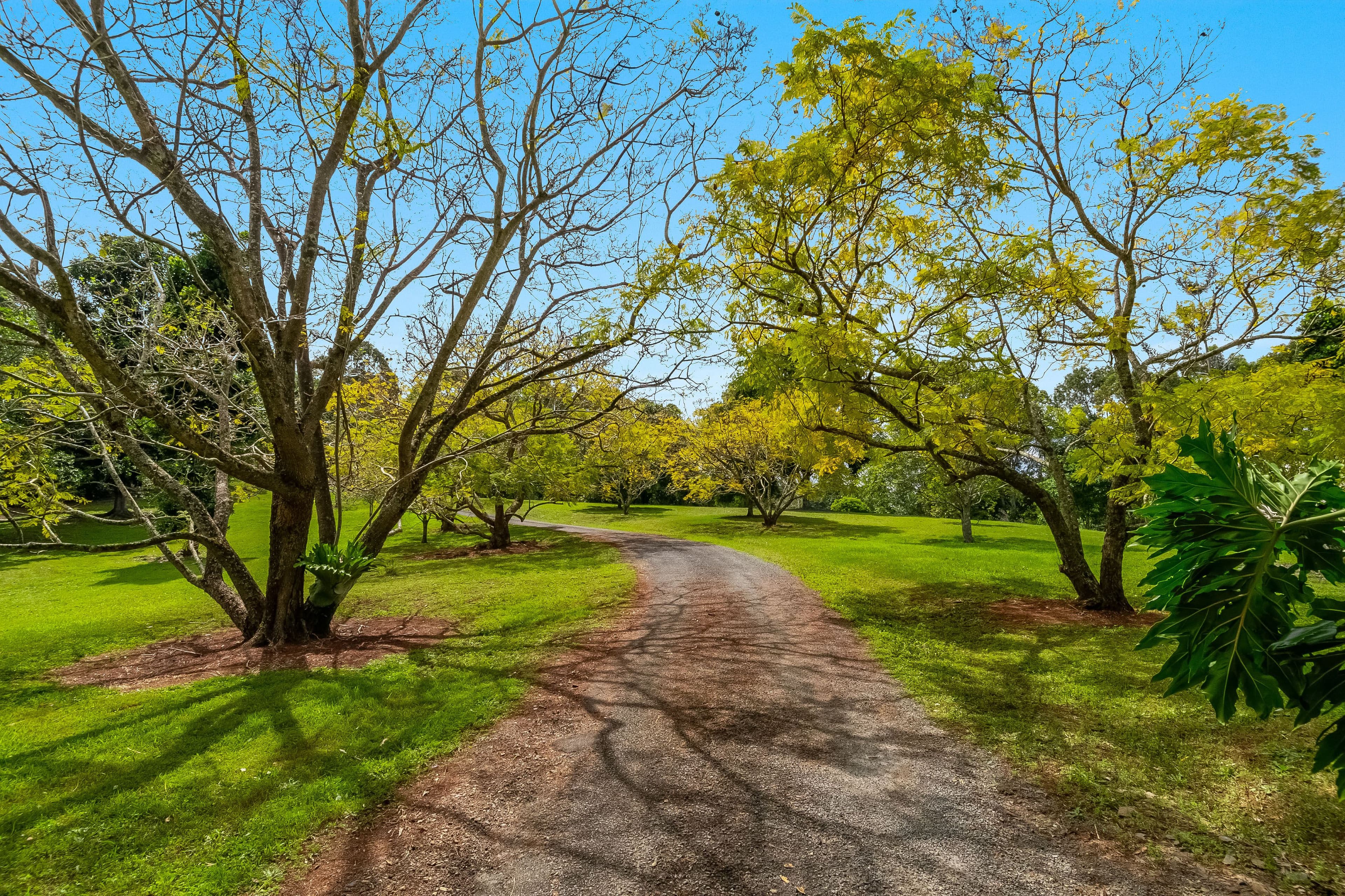 31 Bilin Road, Myocum NSW 2481, Myocum - Thumbnail 4