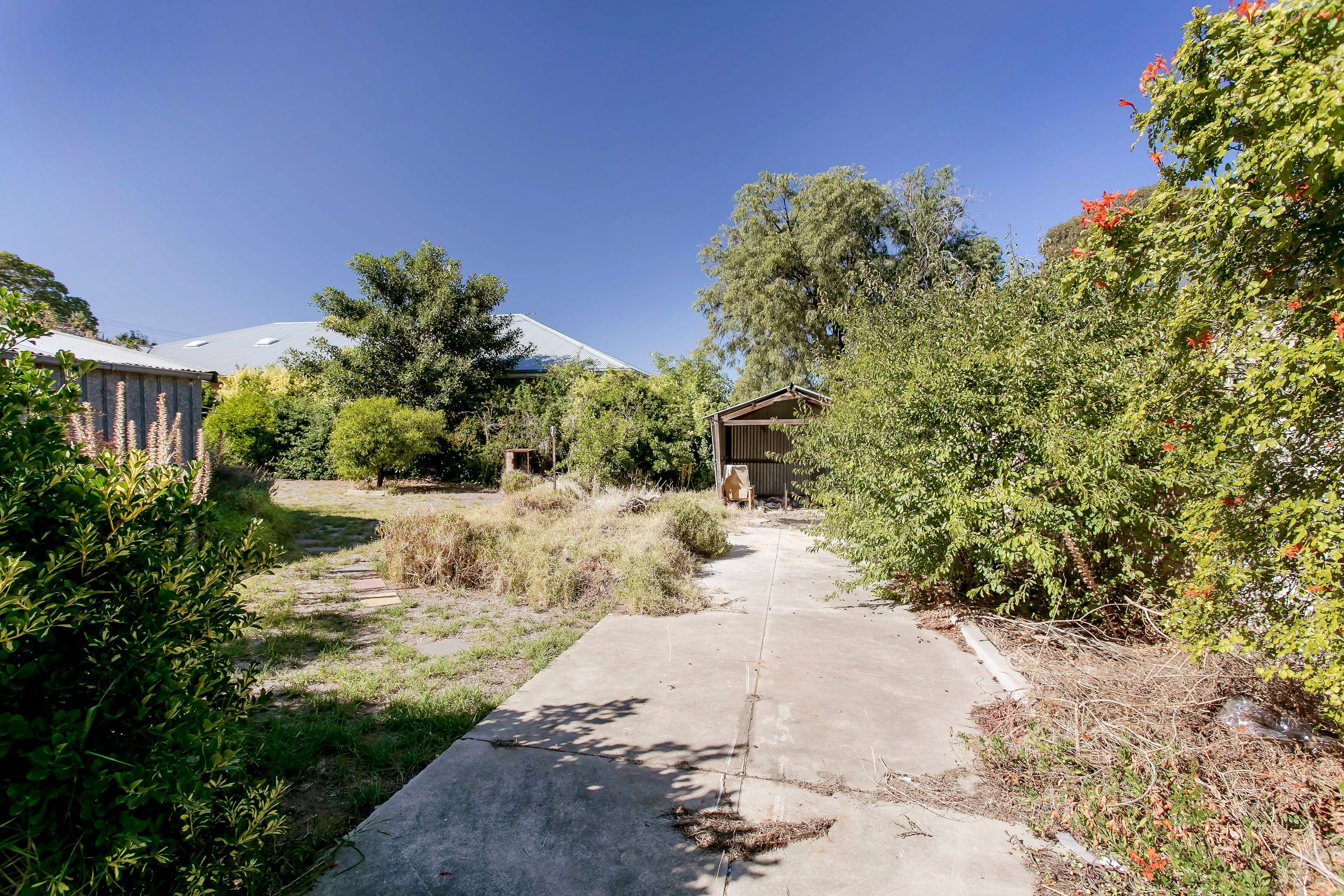 54 York Avenue, Clovelly Park SA 5042, Clovelly Park - Thumbnail 5