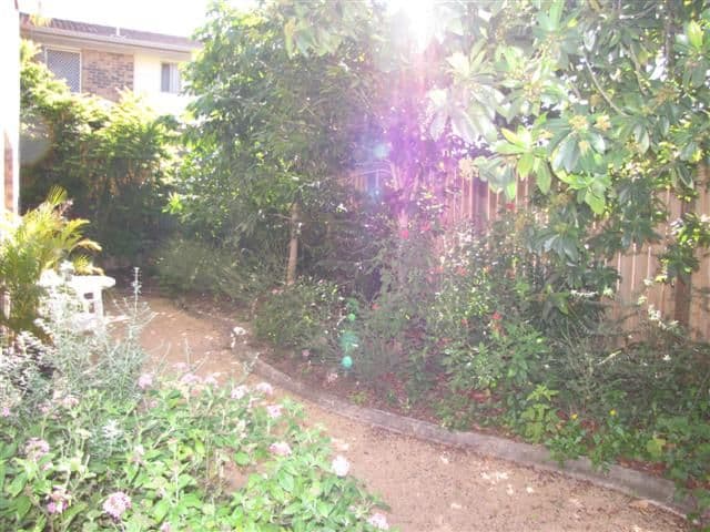 11 Evans Street, MAROOCHYDORE QLD 4558, Maroochydore - Thumbnail 5