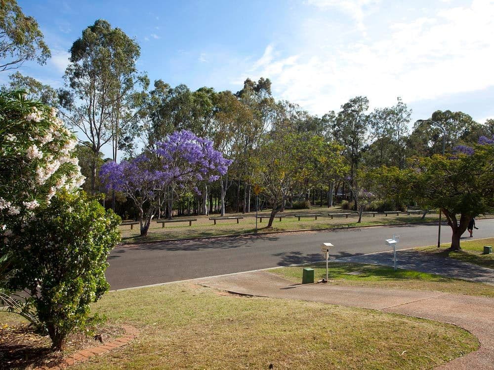 26 Jandowae Street, RUNCORN QLD 4113, Runcorn - Thumbnail 2