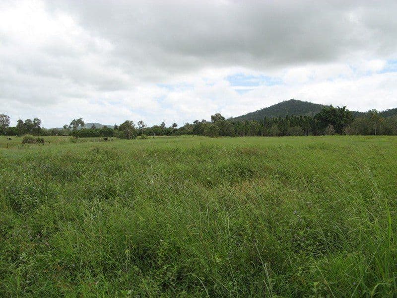 53 Hans Christian Street, SARINA QLD 4737, Sarina - Thumbnail 3