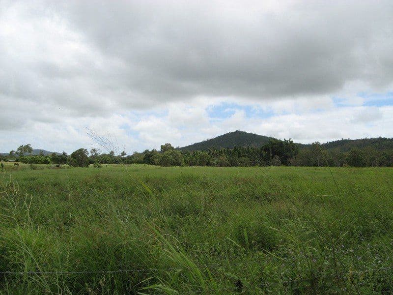 53 Hans Christian Street, SARINA QLD 4737, Sarina - Thumbnail 4