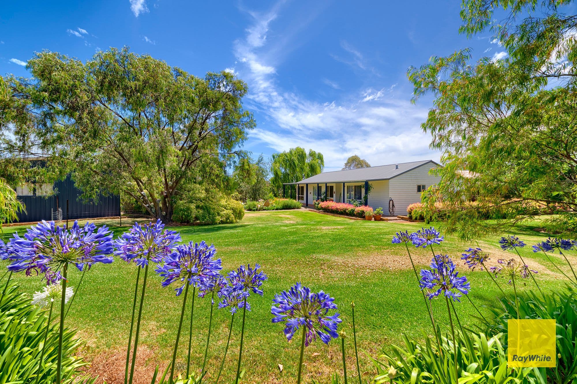 31 Silverstar Court, Millbrook WA 6330, Millbrook - Thumbnail 3