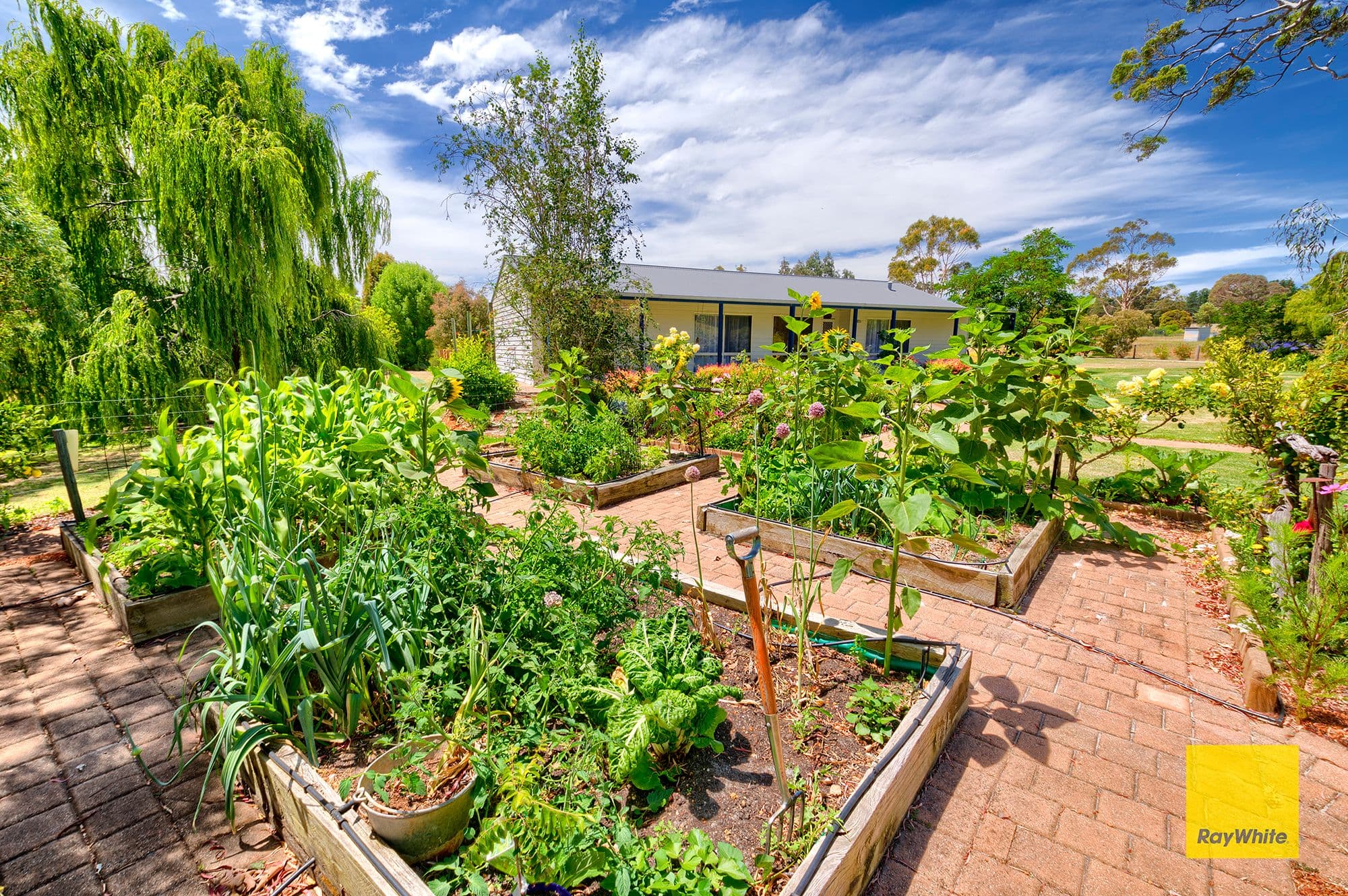 31 Silverstar Court, Millbrook WA 6330, Millbrook - Thumbnail 7