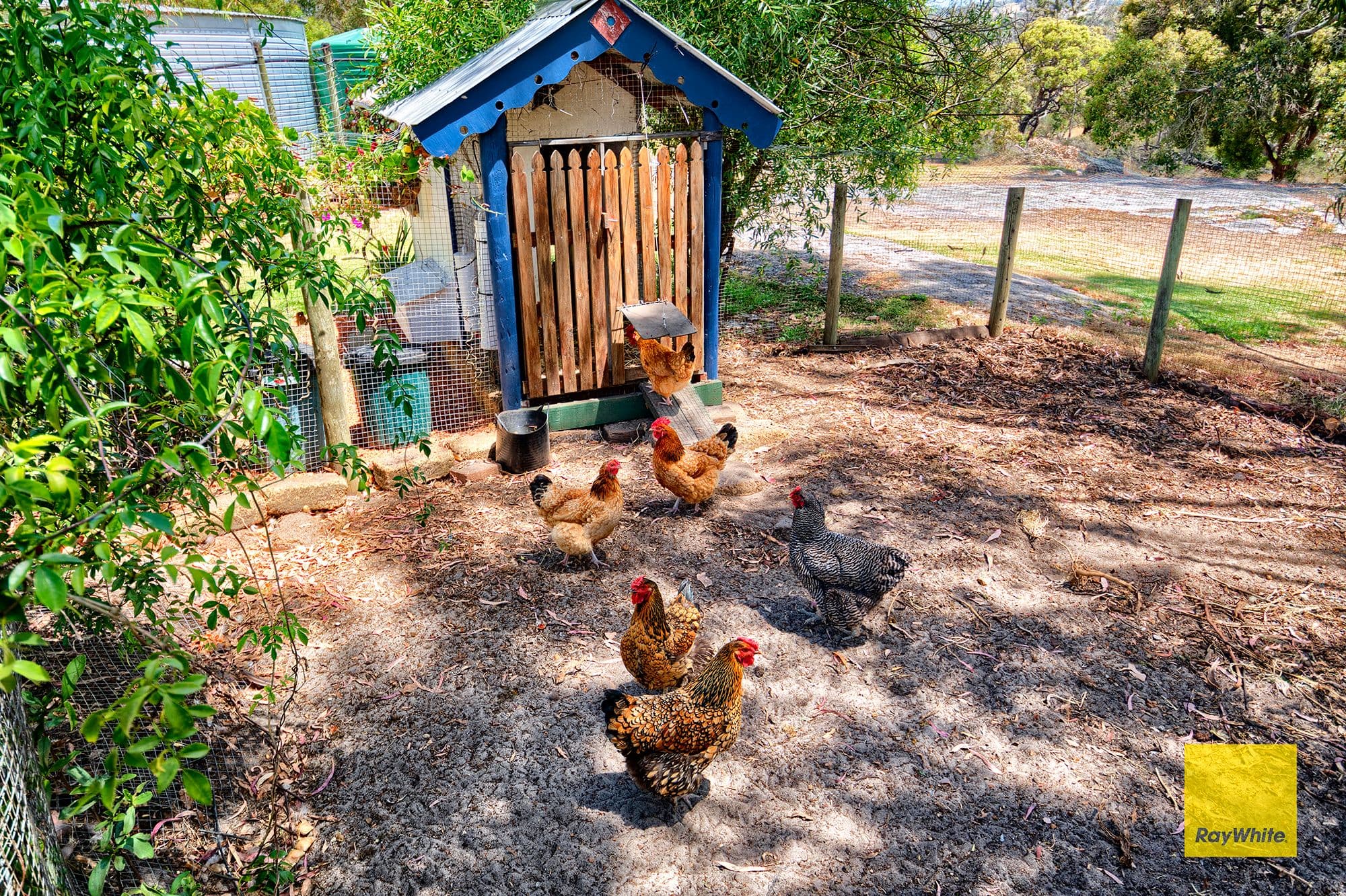 31 Silverstar Court, Millbrook WA 6330, Millbrook - Thumbnail 8
