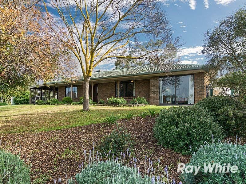 17 Wolf Avenue, Strathalbyn SA 5255, Strathalbyn - Image 1