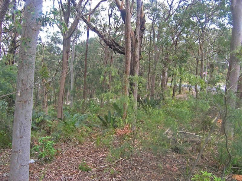 1 Ocean Drive, MACMASTERS BEACH NSW 2251, Macmasters Beach - Image 1