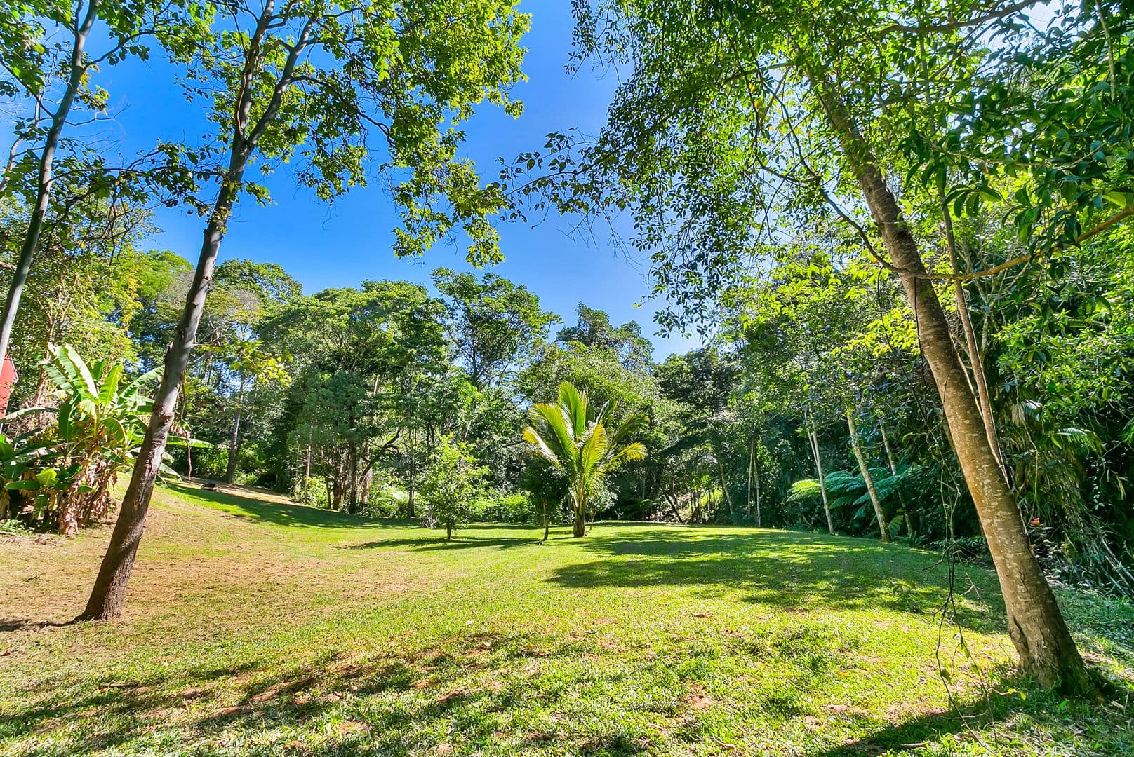 40 Williamson Drive, Kuranda QLD 4881, Kuranda - Thumbnail 5