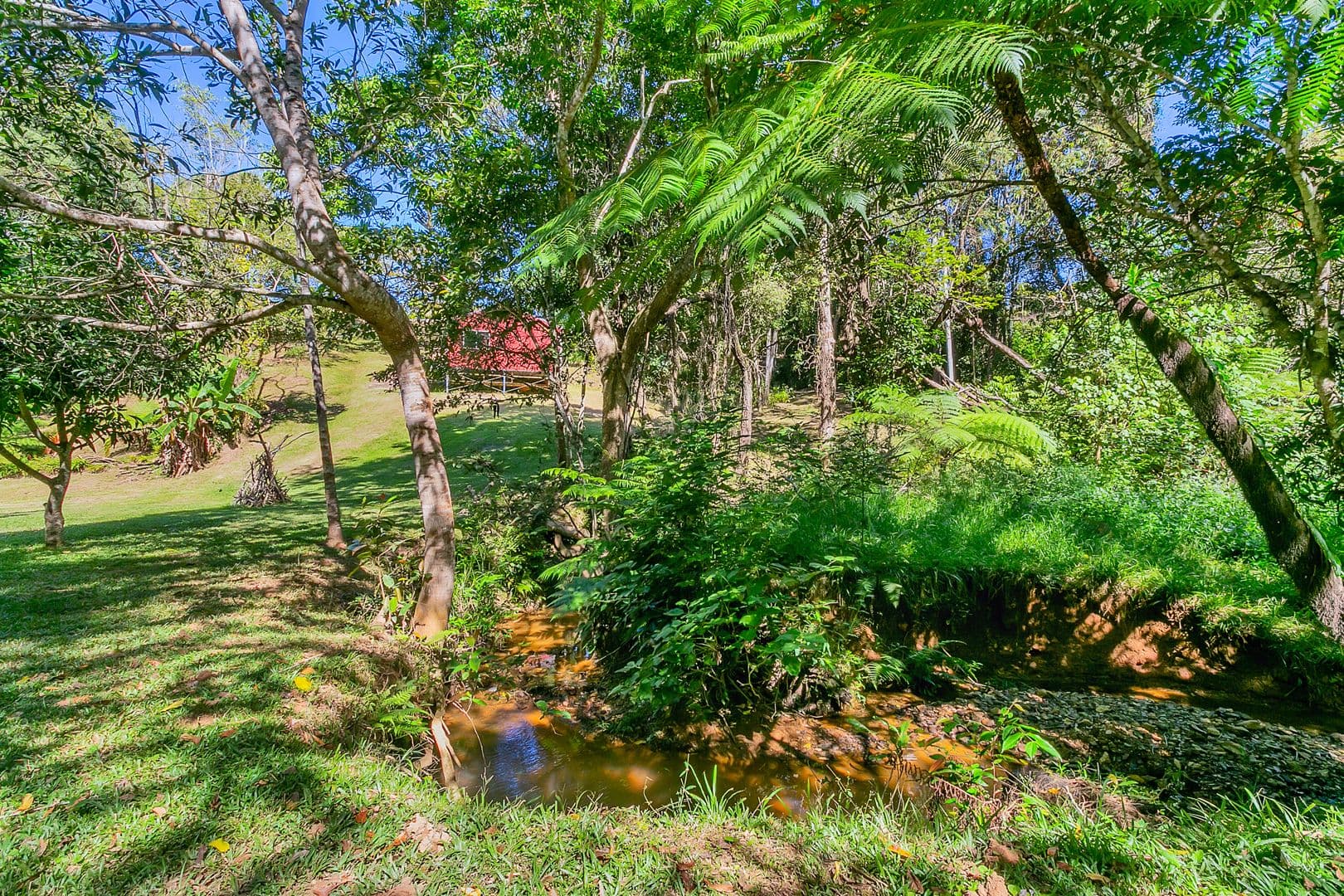 40 Williamson Drive, Kuranda QLD 4881, Kuranda - Thumbnail 6
