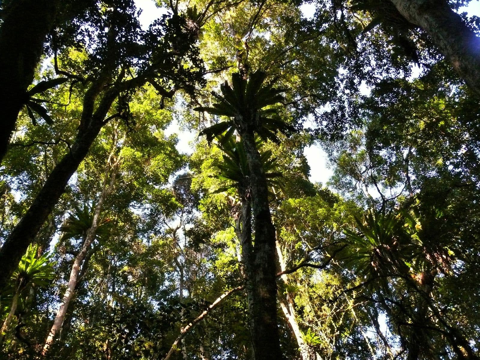 18 to 60 Hein Road, Buccan QLD 4207, Buccan - Thumbnail 3