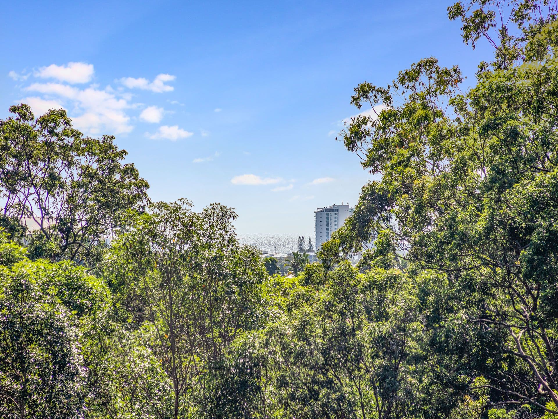 30 Tommys Court, Buderim QLD 4556, Buderim - Thumbnail 2