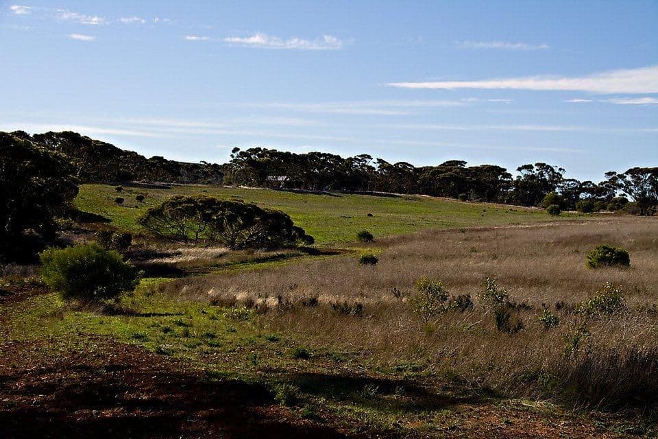 L325 Old Newdegate Road, Ravensthorpe WA 6346, Ravensthorpe - Thumbnail 4