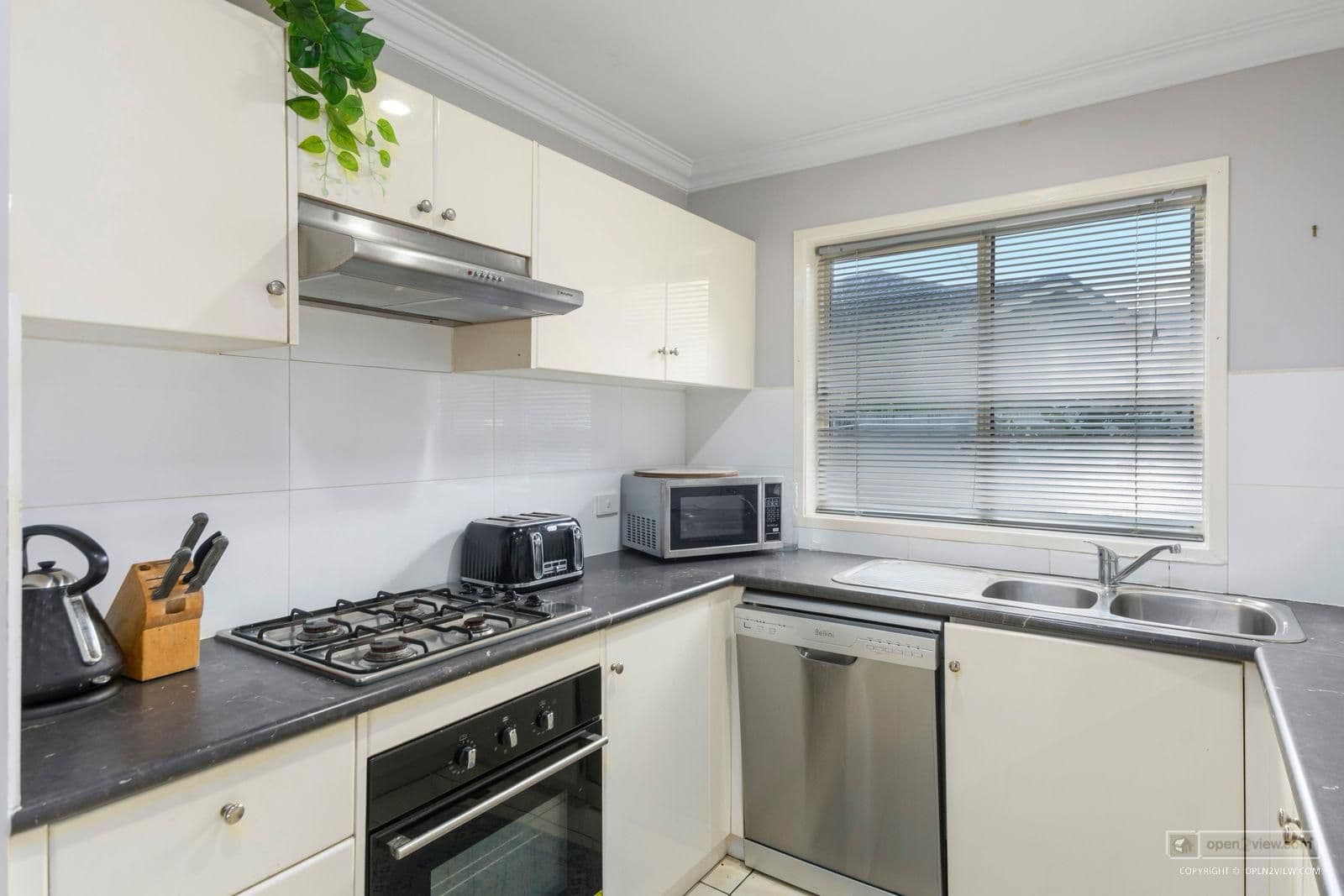 17a Woodland Avenue, Woonona NSW 2517, Woonona - Thumbnail 3