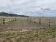 Lot 2 Halls Road, STRATFORD, Stratford - Thumbnail 8