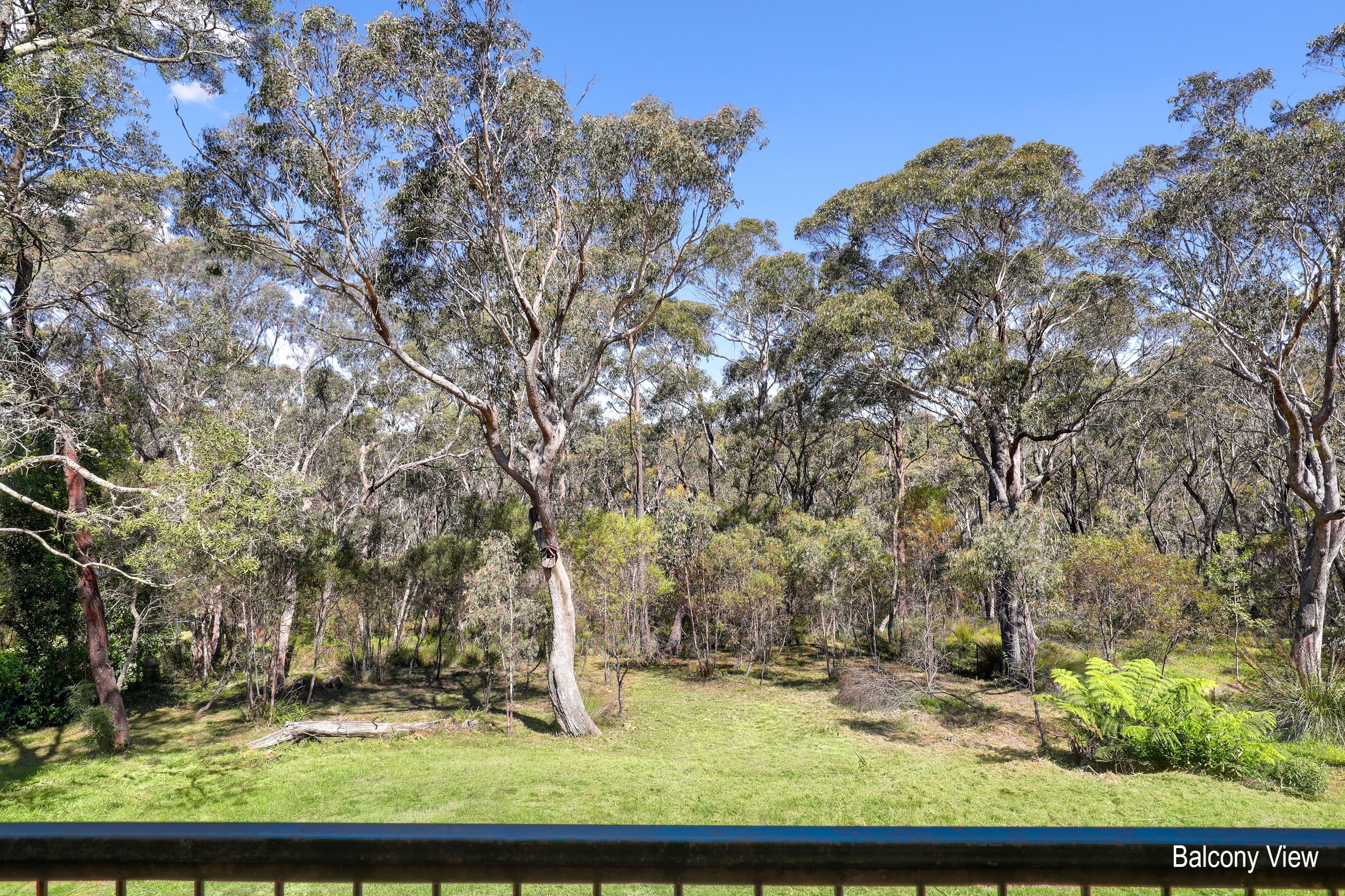 9-11 Braeside Street, Blackheath NSW 2785, Blackheath - Thumbnail 3