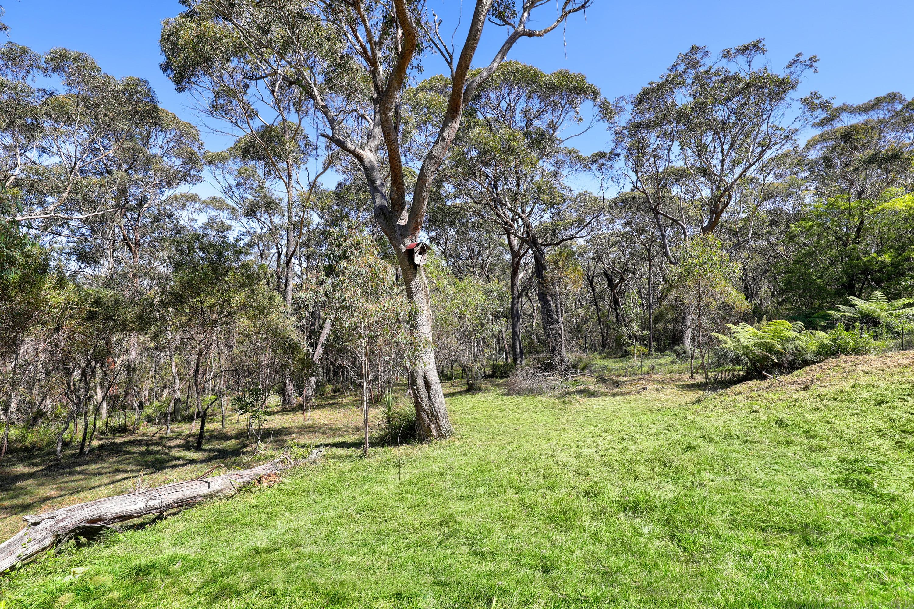 9-11 Braeside Street, Blackheath NSW 2785, Blackheath - Thumbnail 5