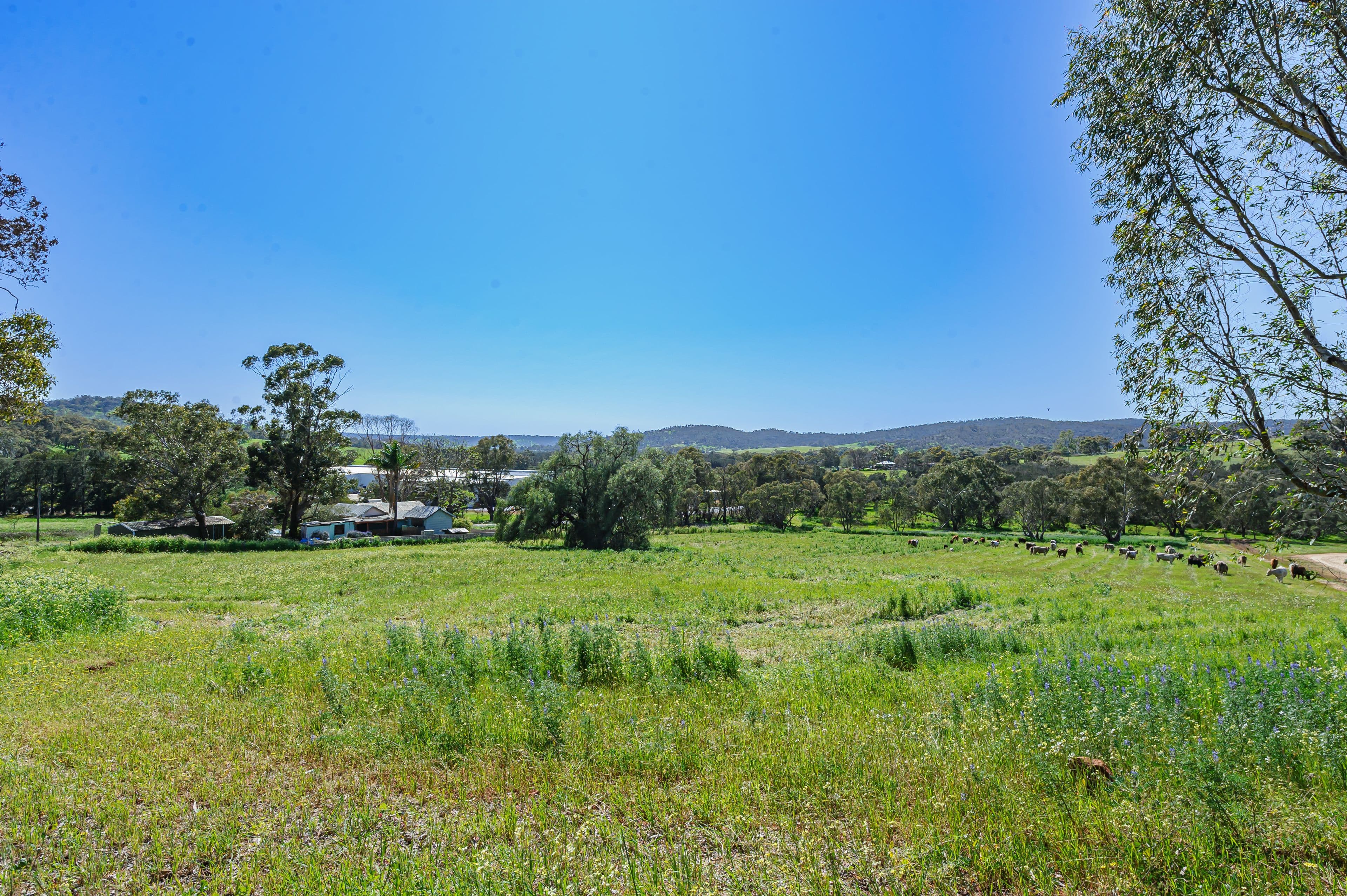 47 Crest Hill Road, Bindoon WA 6502, Bindoon - Image 1