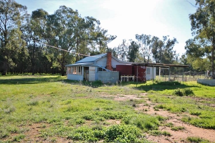4244 Bribbaree Road, BRIBBAREE NSW 2594, Bribbaree - Thumbnail 2