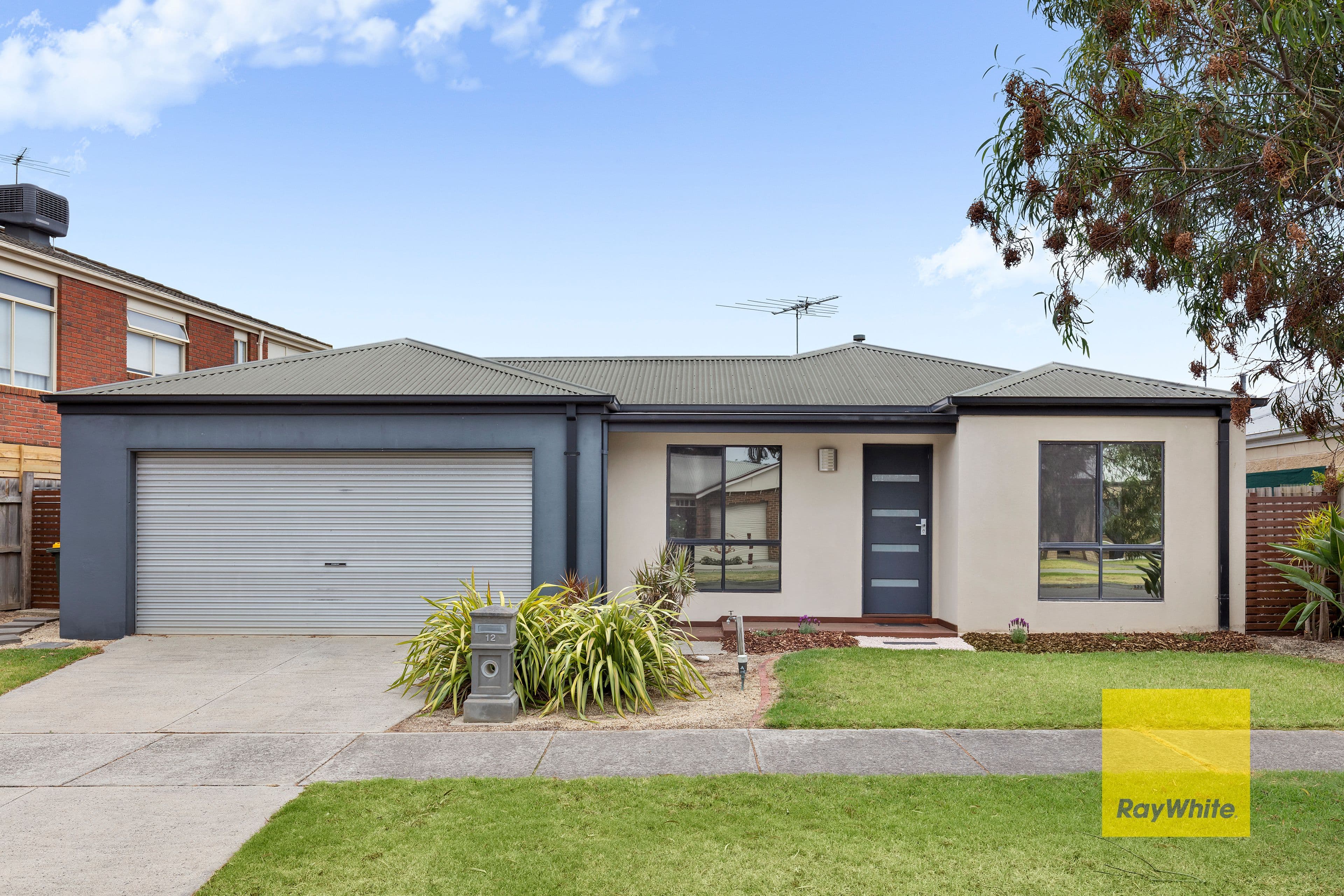 12 Hewitt Drive, Grovedale VIC 3216, Grovedale - Image 1