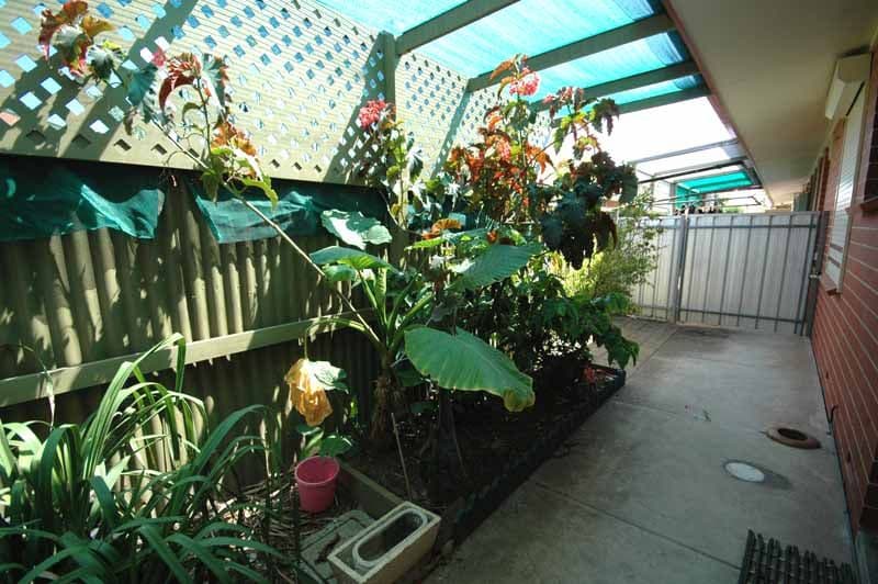 13 Cavendish Avenue, DEVON PARK SA 5008, Devon Park - Thumbnail 7