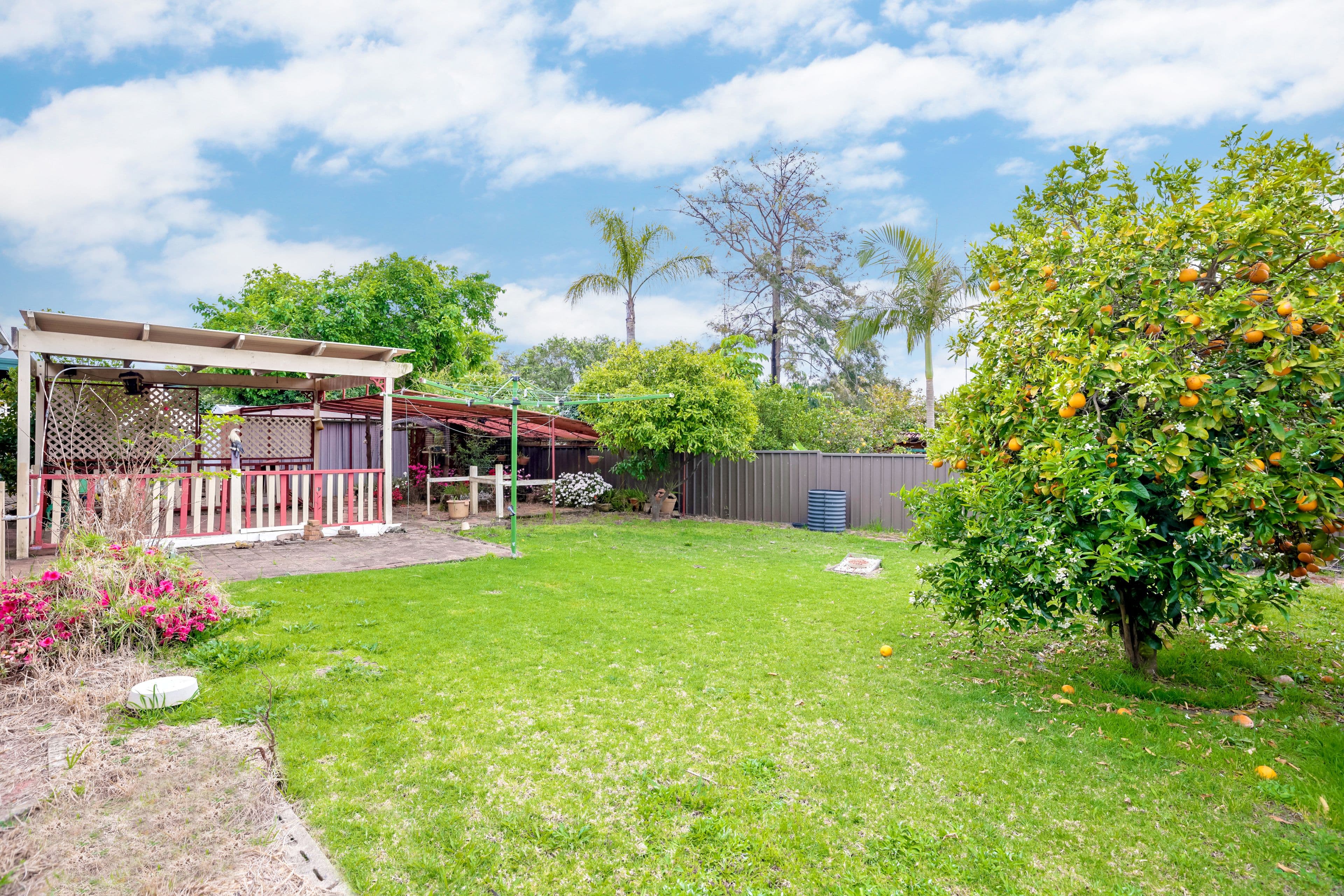 27 Blue Gum Avenue, South Penrith NSW 2750, South Penrith - Thumbnail 8