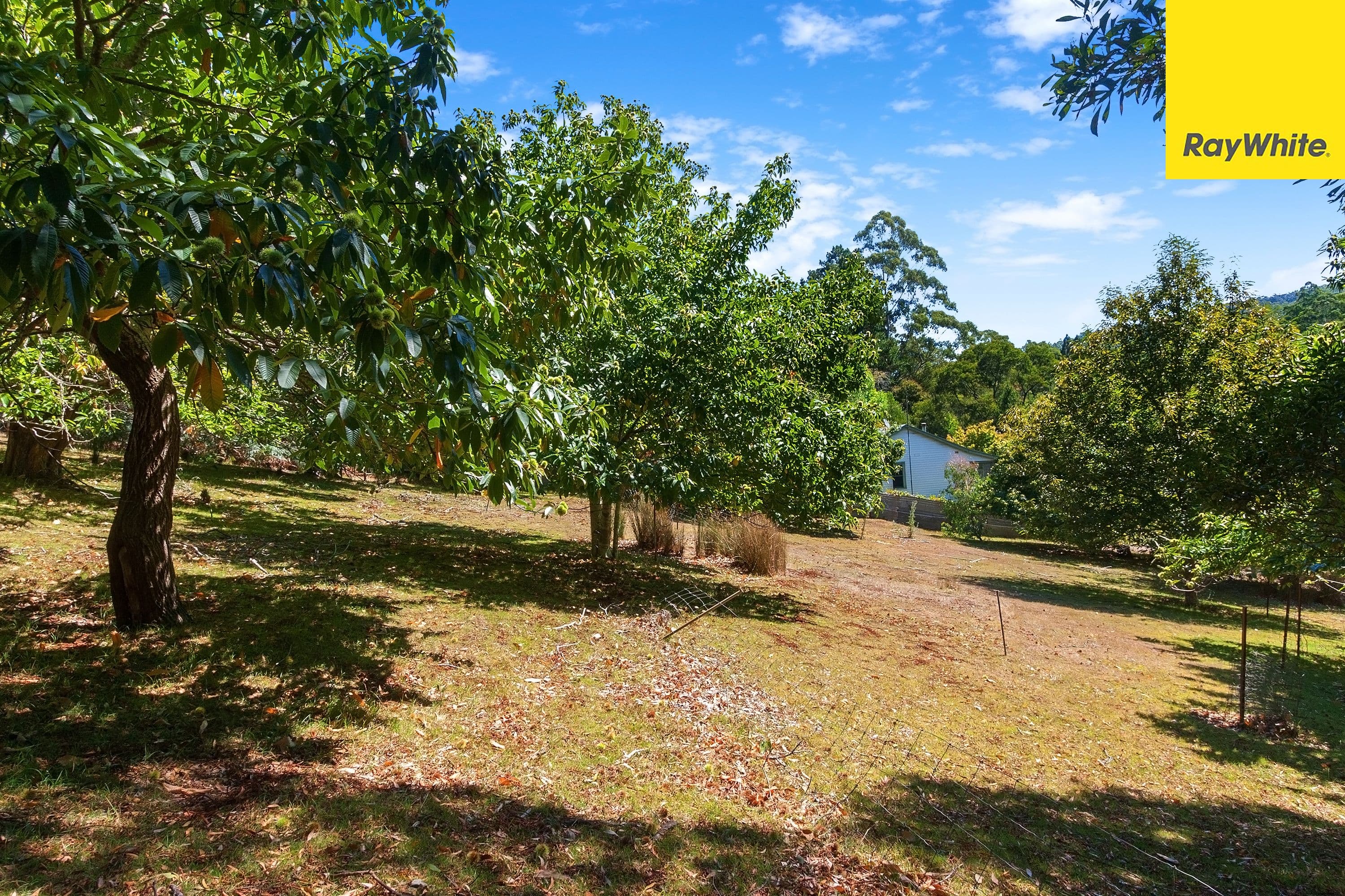 312 Mount Baw Baw Road, Noojee VIC 3833, Noojee - Thumbnail 5