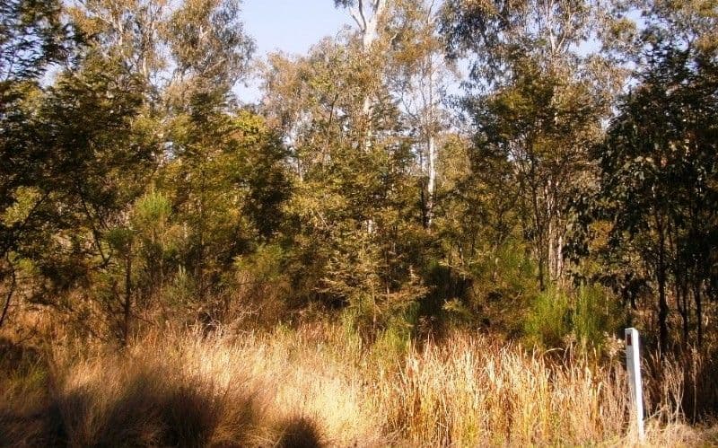 17 The Dress Circle, Benowa, QLD, 4217, Benowa - Thumbnail 3