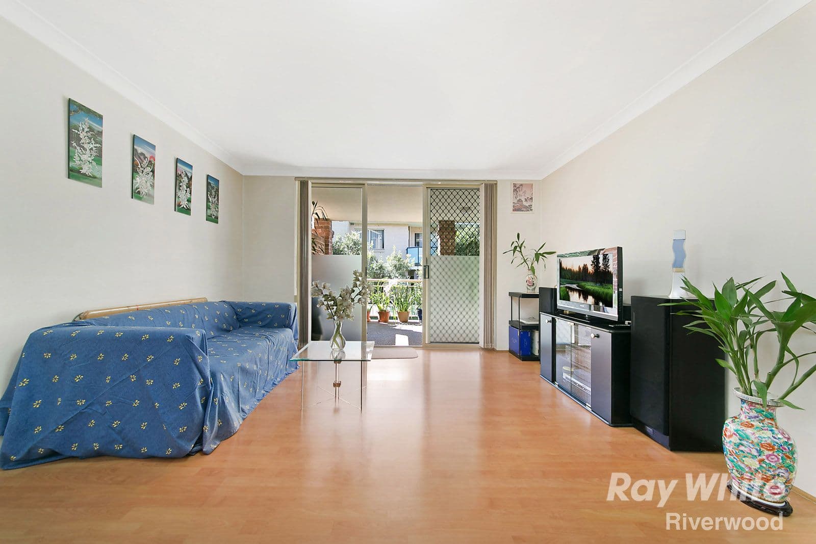 14-16 Cairns Street, Riverwood NSW 2210, Riverwood - Thumbnail 2
