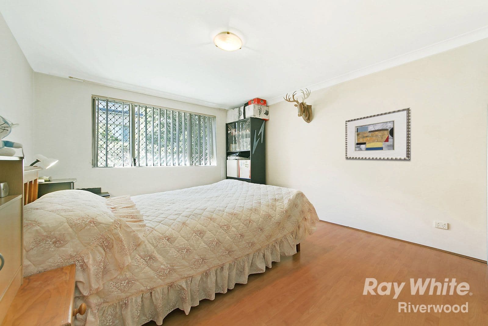 14-16 Cairns Street, Riverwood NSW 2210, Riverwood - Thumbnail 5