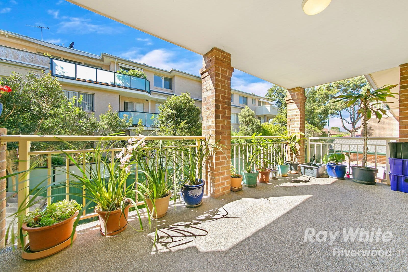 14-16 Cairns Street, Riverwood NSW 2210, Riverwood - Thumbnail 8