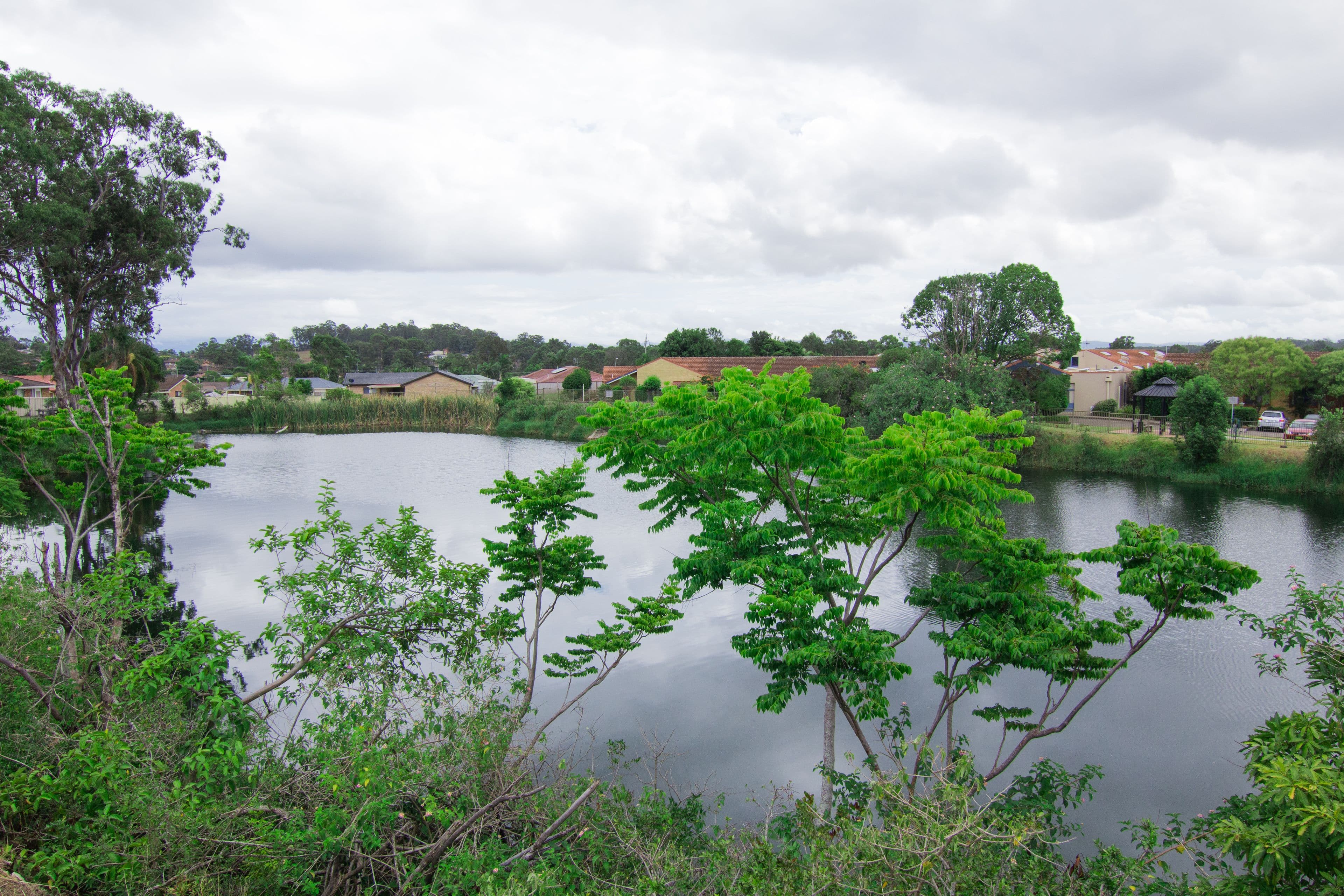 10 Palanas Drive, Taree - Thumbnail 2