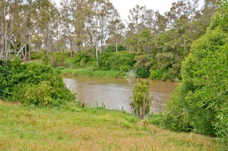 51 Louise Street, WATERFORD WEST QLD 4133, Waterford West - Image 1