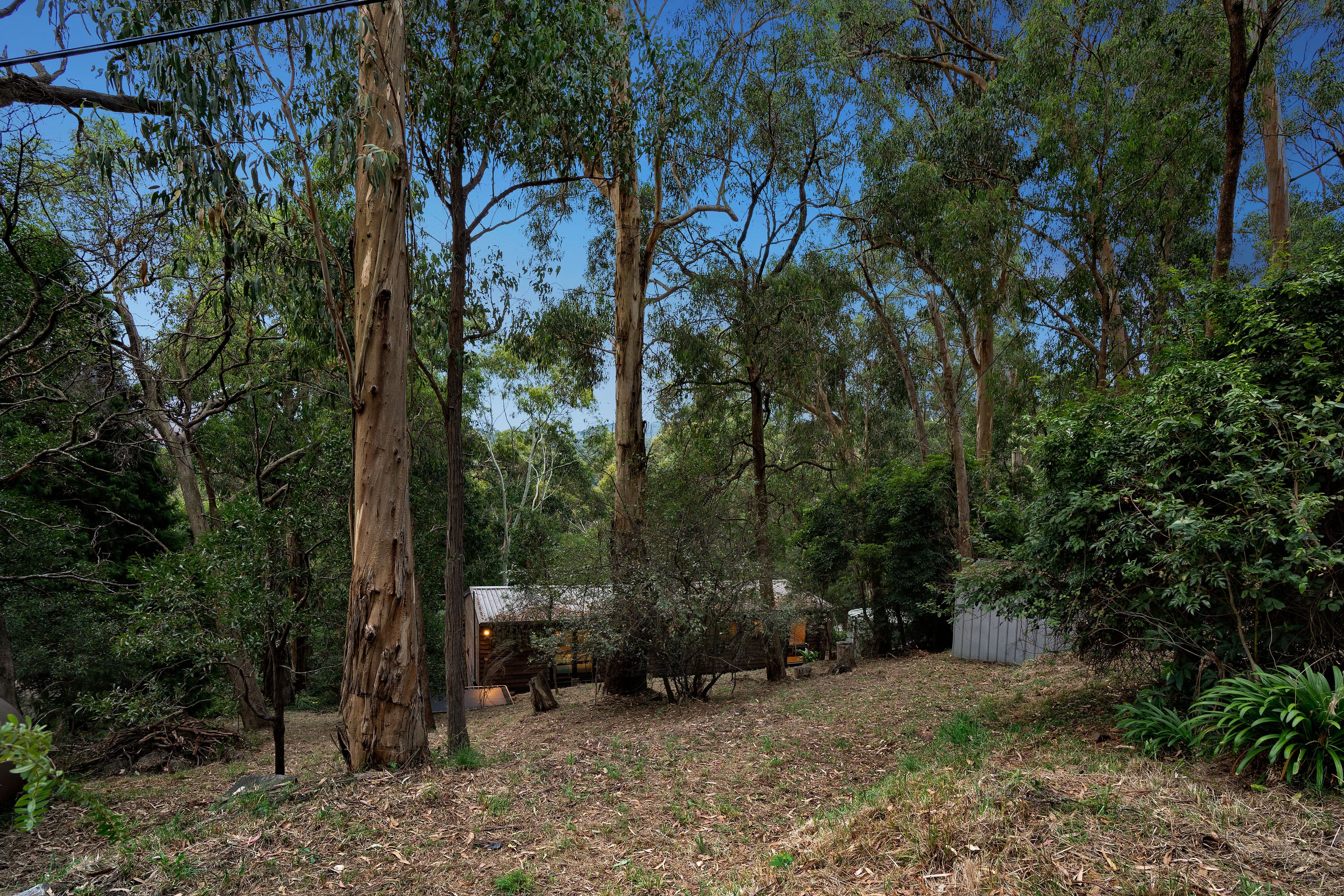 6 Johns Road, Selby VIC 3159, Selby - Thumbnail 6