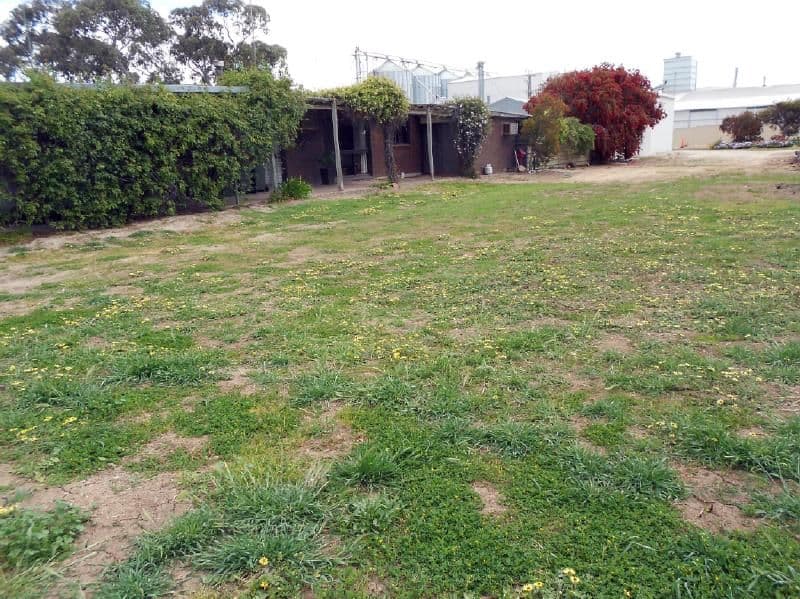 17 - 20 Eighth St and Ramsay Terrace, Bordertown SA 5268, Bordertown - Thumbnail 2