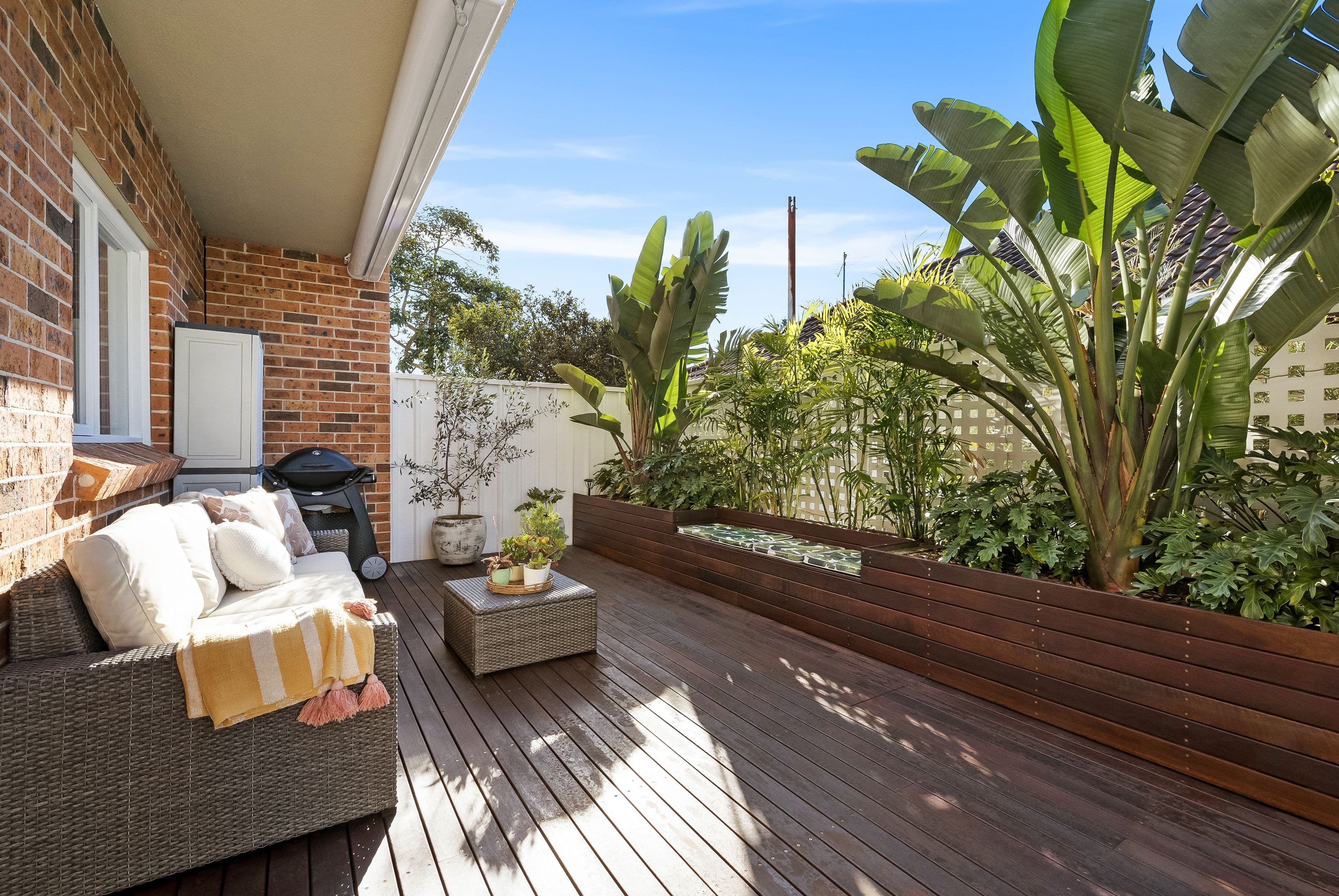 66 Mount Street, Coogee NSW 2034, Coogee - Thumbnail 2